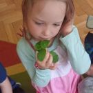 IMG20230519091809