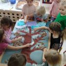 IMG_20231027_095532