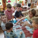 IMG_20231027_095538