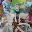 IMG_20231027_094531