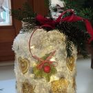 IMG_20231208_113456