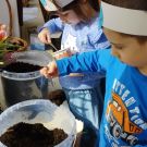 IMG_20240315_104407