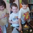 IMG_20240325_103739