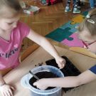 IMG_20240405_132839